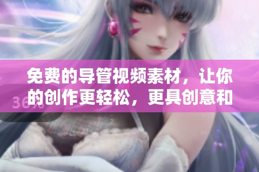 免費(fèi)的導(dǎo)管視頻素材，讓你的創(chuàng)作更輕松，更具創(chuàng)意和專業(yè)感