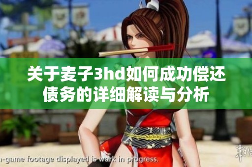 關于麥子3hd如何成功償還債務的詳細解讀與分析