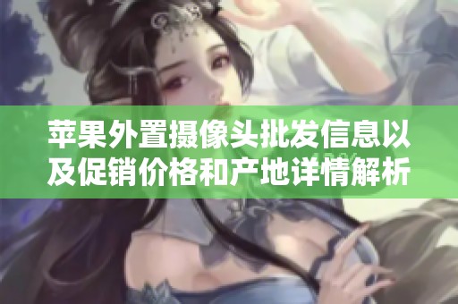 蘋果外置攝像頭批發(fā)信息以及促銷價格和產(chǎn)地詳情解析