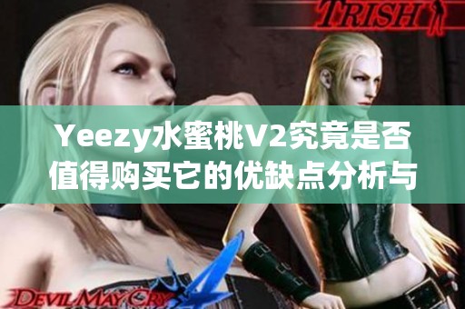Yeezy水蜜桃V2究竟是否值得購買它的優(yōu)缺點分析與推薦