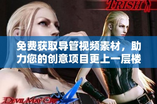 免費獲取導管視頻素材，助力您的創(chuàng)意項目更上一層樓