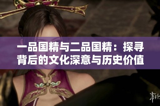 一品國精與二品國精：探尋背后的文化深意與歷史價值