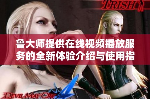 魯大師提供在線視頻播放服務的全新體驗介紹與使用指南