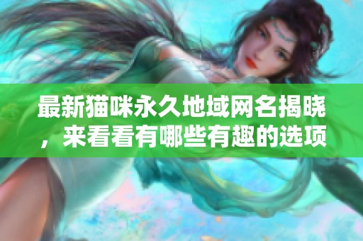 最新貓咪永久地域網(wǎng)名揭曉，來看看有哪些有趣的選項(xiàng)吧