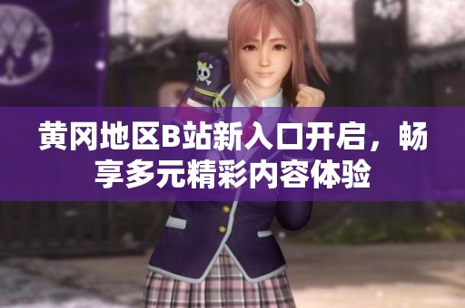 黃岡地區(qū)B站新入口開啟，暢享多元精彩內(nèi)容體驗(yàn)