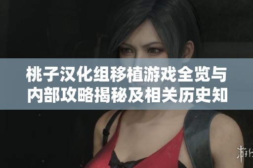 桃子漢化組移植游戲全覽與內(nèi)部攻略揭秘及相關(guān)歷史知識(shí)分享