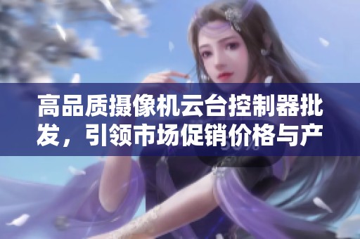 高品質(zhì)攝像機云臺控制器批發(fā)，引領(lǐng)市場促銷價格與產(chǎn)地選擇