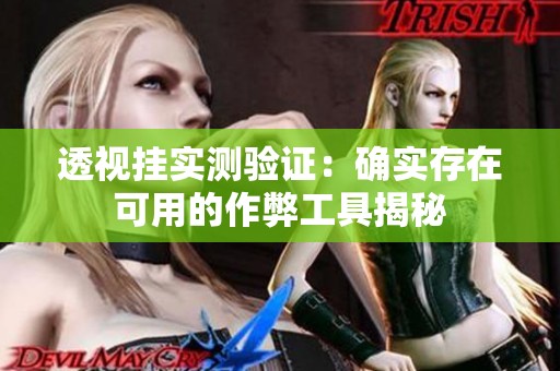 透視掛實(shí)測(cè)驗(yàn)證：確實(shí)存在可用的作弊工具揭秘