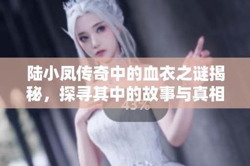 陸小鳳傳奇中的血衣之謎揭秘，探尋其中的故事與真相