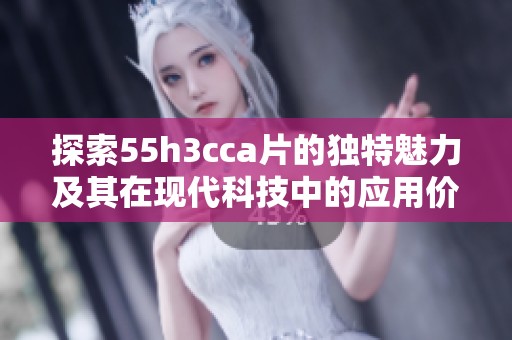 探索55h3cca片的獨特魅力及其在現(xiàn)代科技中的應(yīng)用價值