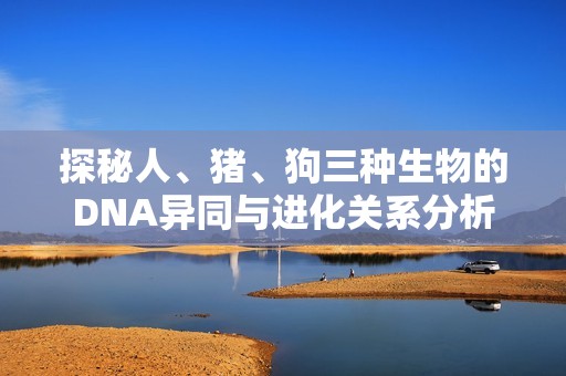 探秘人、豬、狗三種生物的DNA異同與進(jìn)化關(guān)系分析