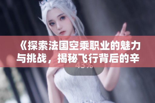 《探索法國空乘職業(yè)的魅力與挑戰(zhàn)，揭秘飛行背后的辛勤付出》