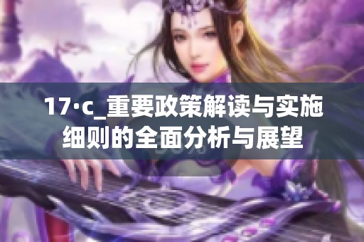 17·c_重要政策解讀與實施細則的全面分析與展望