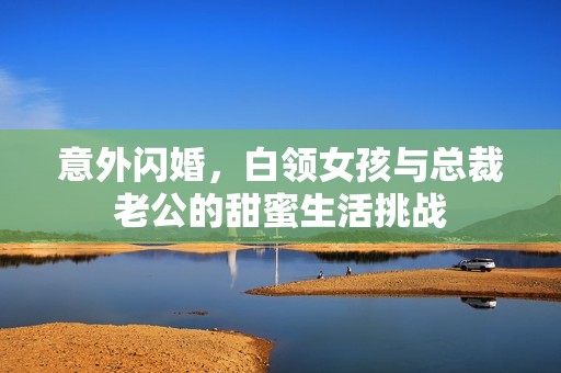 意外閃婚，白領(lǐng)女孩與總裁老公的甜蜜生活挑戰(zhàn)