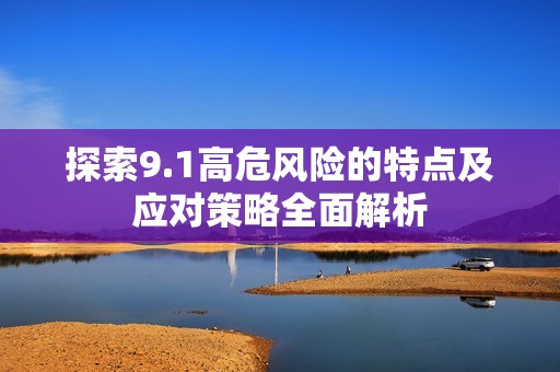 探索9.1高危風(fēng)險(xiǎn)的特點(diǎn)及應(yīng)對策略全面解析