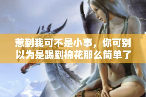 惹到我可不是小事，你可別以為是踢到棉花那么簡(jiǎn)單了