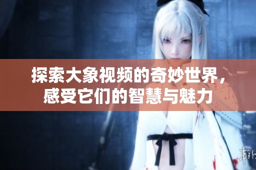 探索大象視頻的奇妙世界，感受它們的智慧與魅力