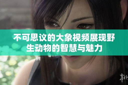 不可思議的大象視頻展現(xiàn)野生動物的智慧與魅力