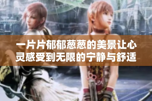 一片片郁郁蔥蔥的美景讓心靈感受到無限的寧靜與舒適