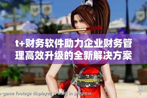 t+財(cái)務(wù)軟件助力企業(yè)財(cái)務(wù)管理高效升級(jí)的全新解決方案