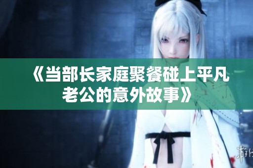 《當(dāng)部長家庭聚餐碰上平凡老公的意外故事》